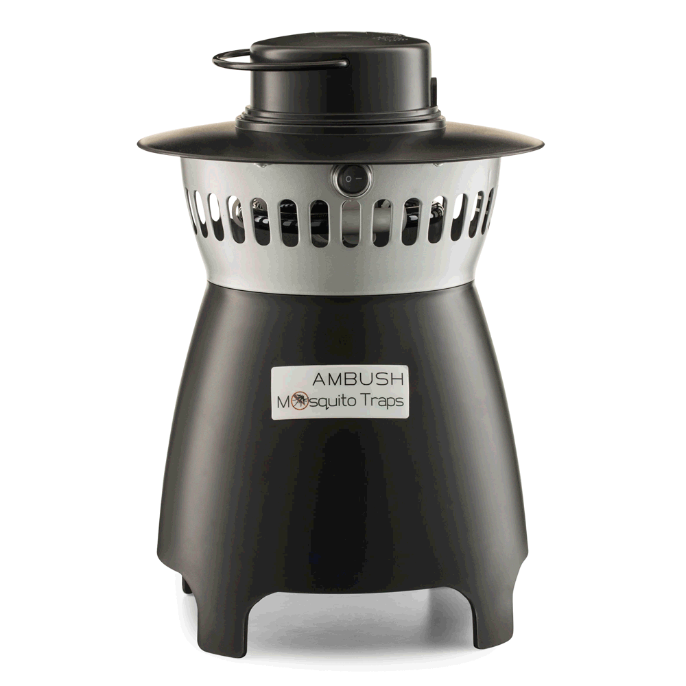 The Ambush Mosquito Trap